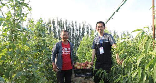 汗水，孕育成功的滋润剂（只有经历过磨难，才能获得真正的成功）-第1张图片-学作网