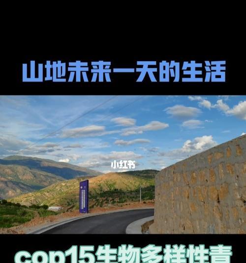 未来生活（梦想中的美好生活）-第1张图片-学作网