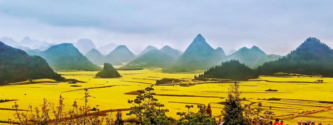 春天的漫步（探寻田野美景）-第1张图片-学作网