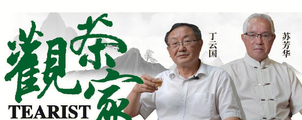 茶香扑鼻，人生如茶（一个茶客的故事）-第3张图片-学作网