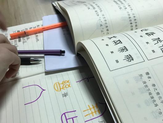 一次失败的尝试（奋斗路上的坎坷）-第3张图片-学作网