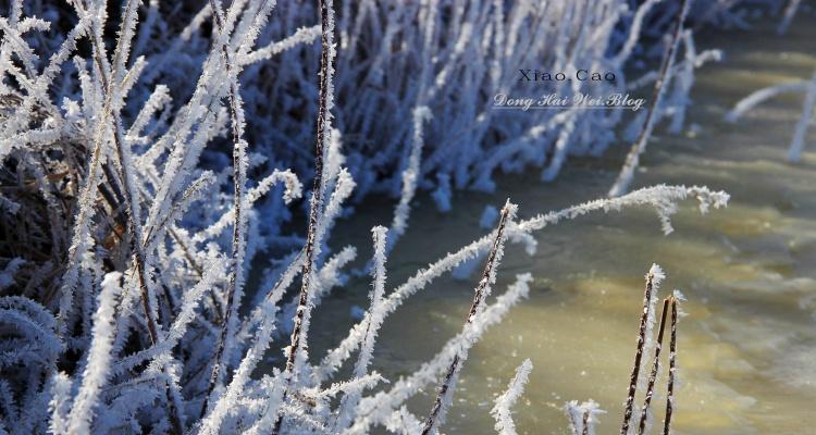 落雪芬芳-第2张图片-学作网