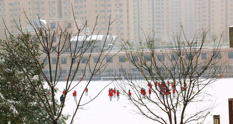 一场意外的“冬奥会”（一场意外的“冬奥会”）-第2张图片-学作网