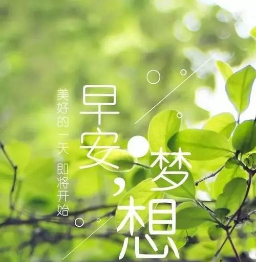 宽容让我们更加平和（一位母亲的故事）-第1张图片-学作网