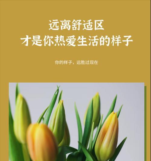 选择坚持，成长不止（一个小学生的成长故事）-第3张图片-学作网