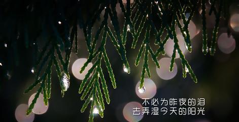 ThePursuitofDreams（TheJourneyofPerseverance）-第3张图片-学作网