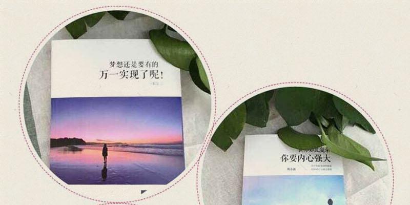ThePursuitofDreams（TheJourneyofPerseverance）-第2张图片-学作网