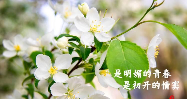 温暖的过客（只有一次的机会）-第2张图片-学作网