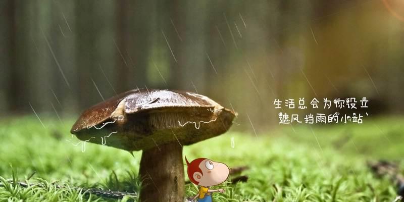 勇往直前（小鱼的奇妙经历）-第3张图片-学作网