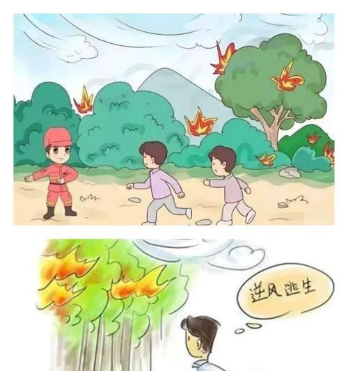 森林卫士——以森林防火3为主题的小故事（他们是护林员，也是森林的守护者）-第2张图片-学作网