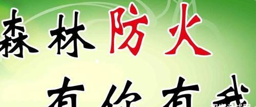 森林卫士——以森林防火3为主题的小故事（他们是护林员，也是森林的守护者）-第3张图片-学作网