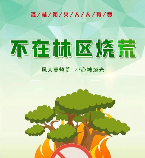 森林防火（一场火灾，一段经历）-第2张图片-学作网