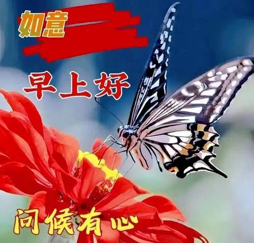 母爱暖流充溢着我——一位母亲的故事（从孕育到陪伴，母亲的爱无处不在）-第1张图片-学作网