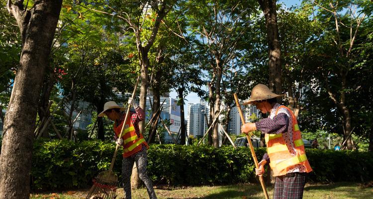 芬芳绽放——以幸福劳动，绽放花朵-第3张图片-学作网