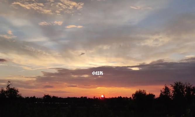 TheLongJourneyofMemories（ATaleofPerseveranceandRemembrance）-第3张图片-学作网