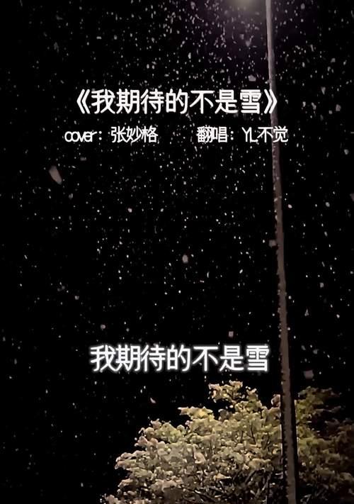 冬日之恋（我与雪花的故事）-第1张图片-学作网