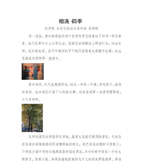 我的新生活（结交新朋友，学习新知识，体验新生活）-第1张图片-学作网