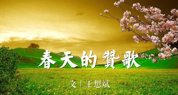 燃情春天（那些点滴美好）-第1张图片-学作网