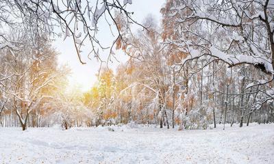 雪花飘落时（一个人的冬日故事）-第2张图片-学作网