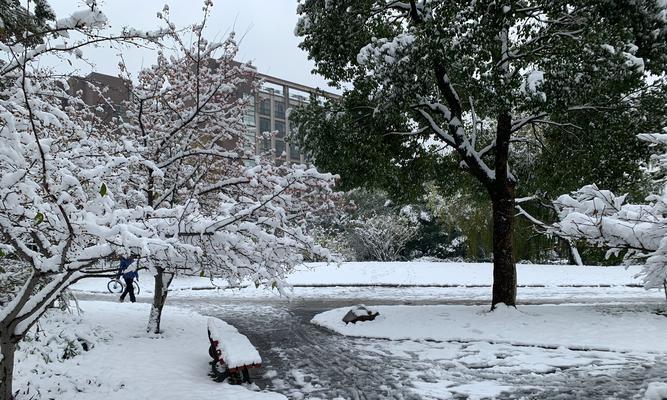 雪花飘落时（一个人的冬日故事）-第1张图片-学作网