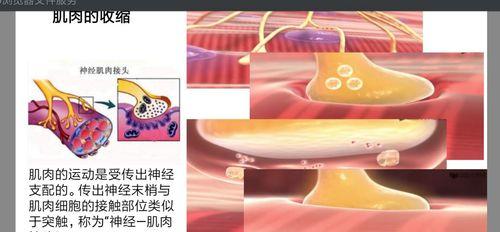 飞出困境（成长在困难中激荡的故事）-第3张图片-学作网