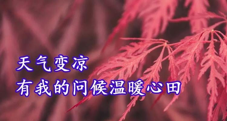 鼓励的力量（一个简单鼓励点燃心灵的梦想）-第2张图片-学作网