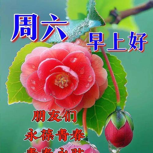 感恩书信，传递幸福（每个人都可以成为幸福的使者）-第3张图片-学作网