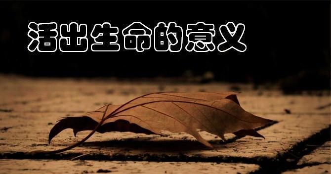 热爱，改变了我的一生（一个平凡人的追求）-第3张图片-学作网