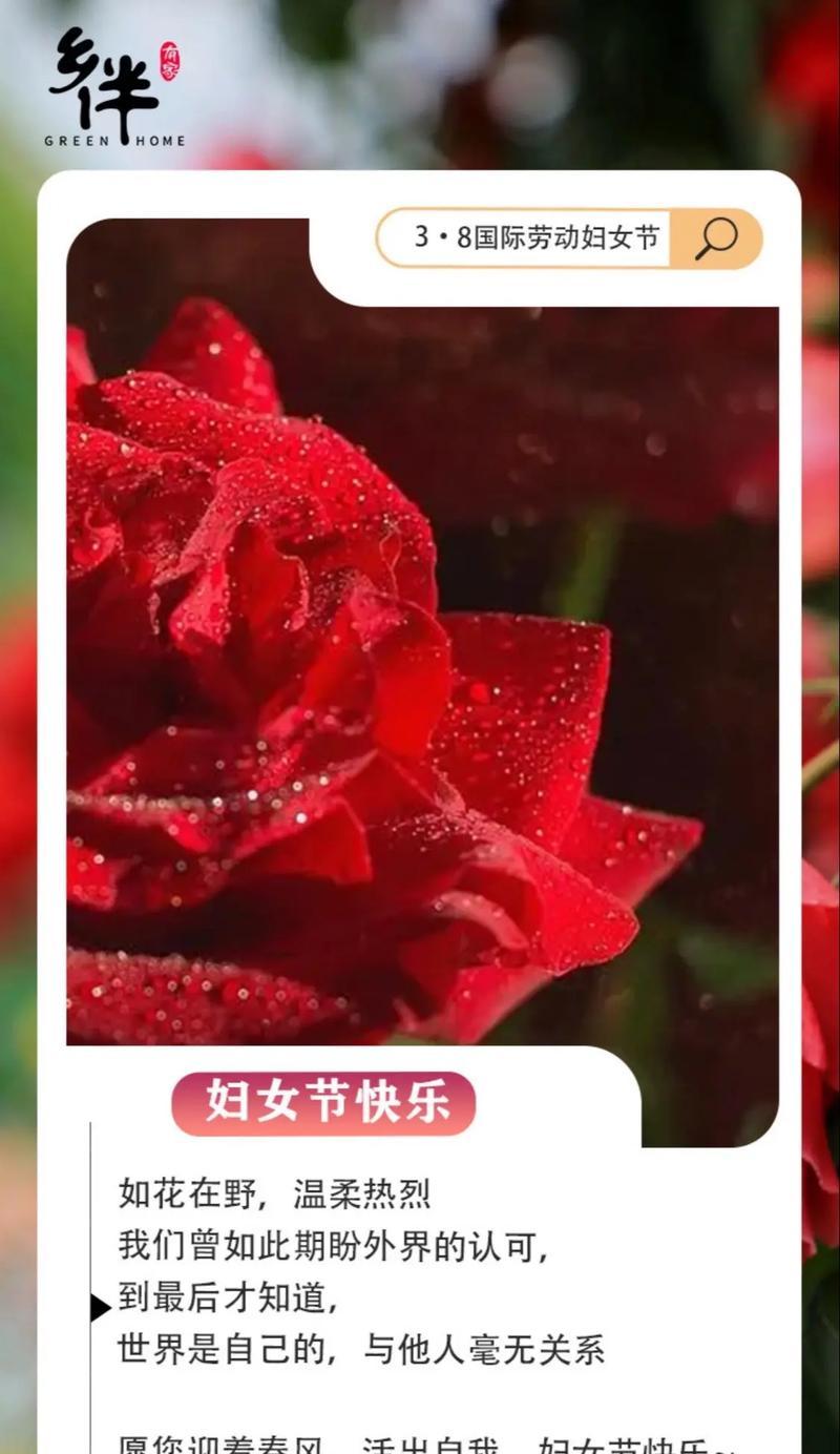 坚持不懈的追求（一个人执着的故事）-第2张图片-学作网