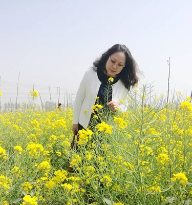 春之芳菲（漫步田野的故事）-第1张图片-学作网