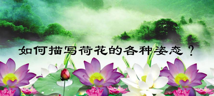 荷花的勇气（她用美丽守护了爱情）-第1张图片-学作网