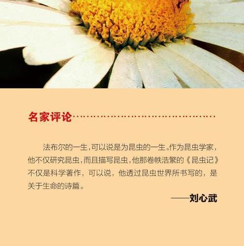 《生命赞歌》（听我唱出那些不曾说出口的情感）-第1张图片-学作网