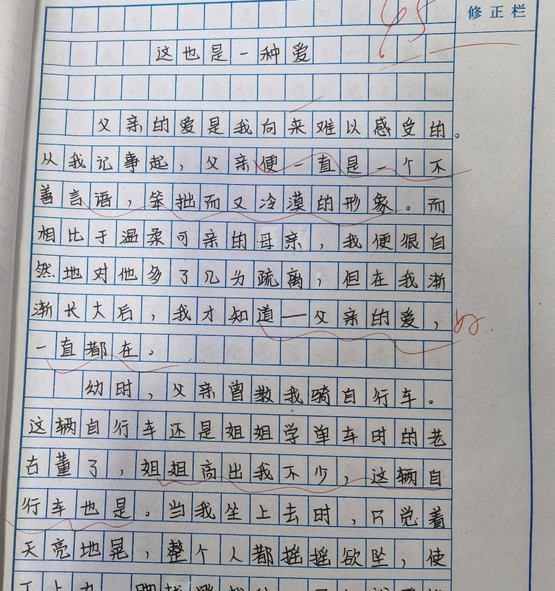 以这也是一种爱（一个人和一只猫的故事）-第3张图片-学作网