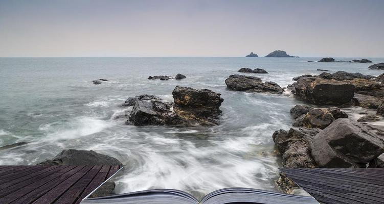 海洋的梦想者（进书的旅程）-第3张图片-学作网