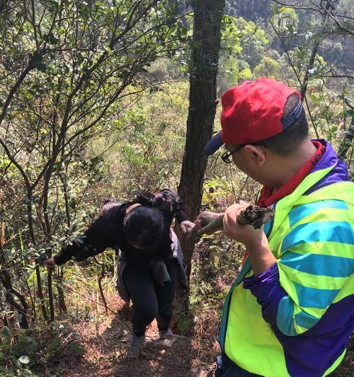 越过山海林泉，探寻未知领域（越过山海林泉，探寻未知领域）-第1张图片-学作网