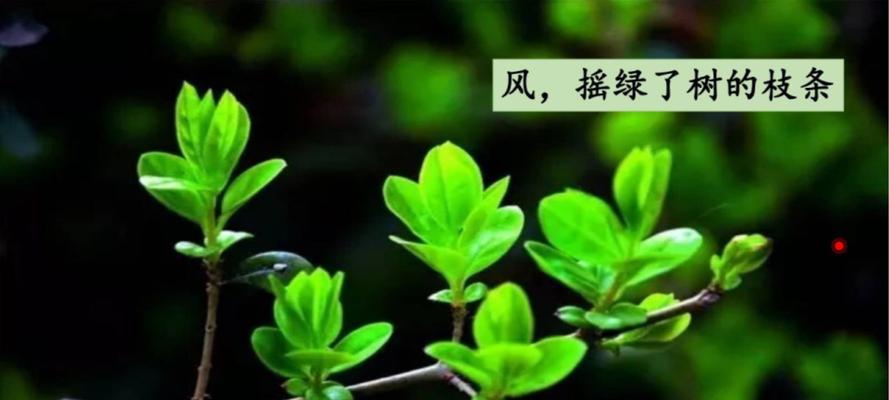收到春天的消息（一个关于希望与新生的故事）-第1张图片-学作网