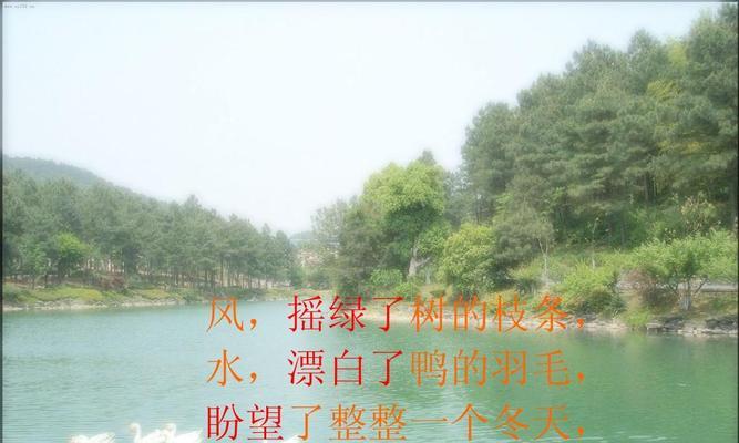 收到春天的消息（一个关于希望与新生的故事）-第2张图片-学作网