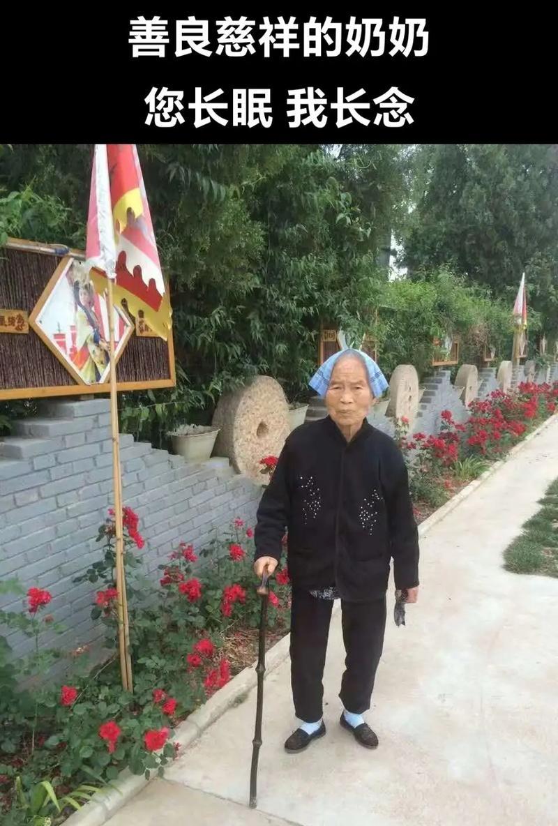 慈爱老奶奶的生活点滴（慈爱老奶奶的生活点滴）-第1张图片-学作网