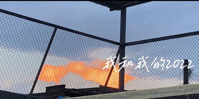 改变自我，蜕变成蝶（从逆境中走出来的蝴蝶）-第2张图片-学作网