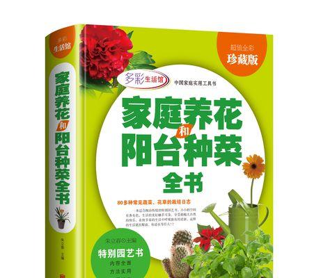 家庭生活的温馨岁月（家，是最温馨的避风港）-第3张图片-学作网
