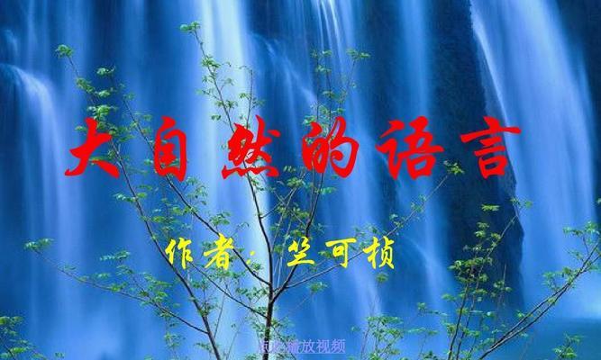 读懂大自然的语言——与老猎人的一次奇遇（用心感受，感知自然之美）-第1张图片-学作网