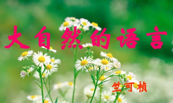 读懂大自然的语言——与老猎人的一次奇遇（用心感受，感知自然之美）-第2张图片-学作网