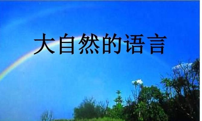 读懂大自然的语言——与老猎人的一次奇遇（用心感受，感知自然之美）-第3张图片-学作网