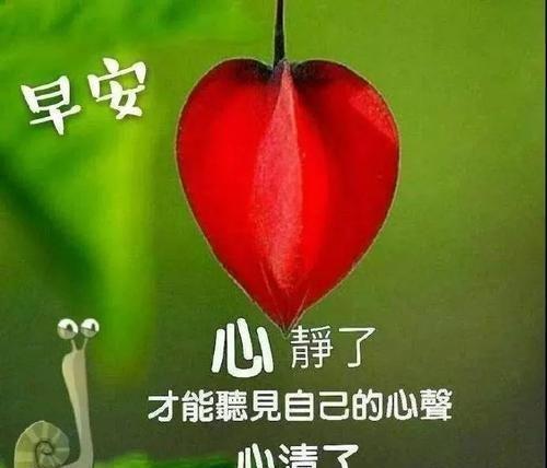 珍惜回忆，让过去变成未来（一段终生难忘的友谊）-第1张图片-学作网