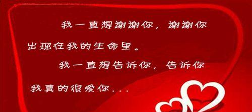 端午节礼物（一份粽子，传递着浓浓的情意）-第3张图片-学作网