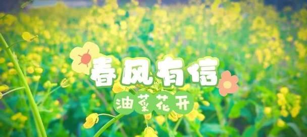 闪耀人生的黄金时刻（闪耀人生的黄金时刻）-第1张图片-学作网