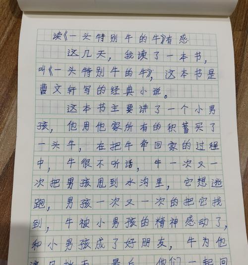 绿皮火车上的邂逅（假期里的火车之旅）-第2张图片-学作网