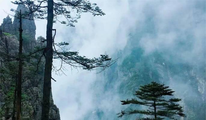 回归自然的旅程（在草原上找到自己）-第1张图片-学作网