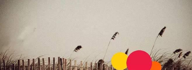 秋日的神秘-第3张图片-学作网