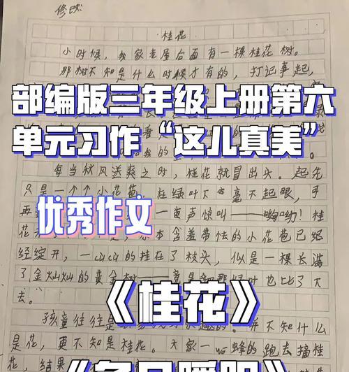 以流年似水，童年真美（时间的河流中，童年的记忆永不消失）-第2张图片-学作网
